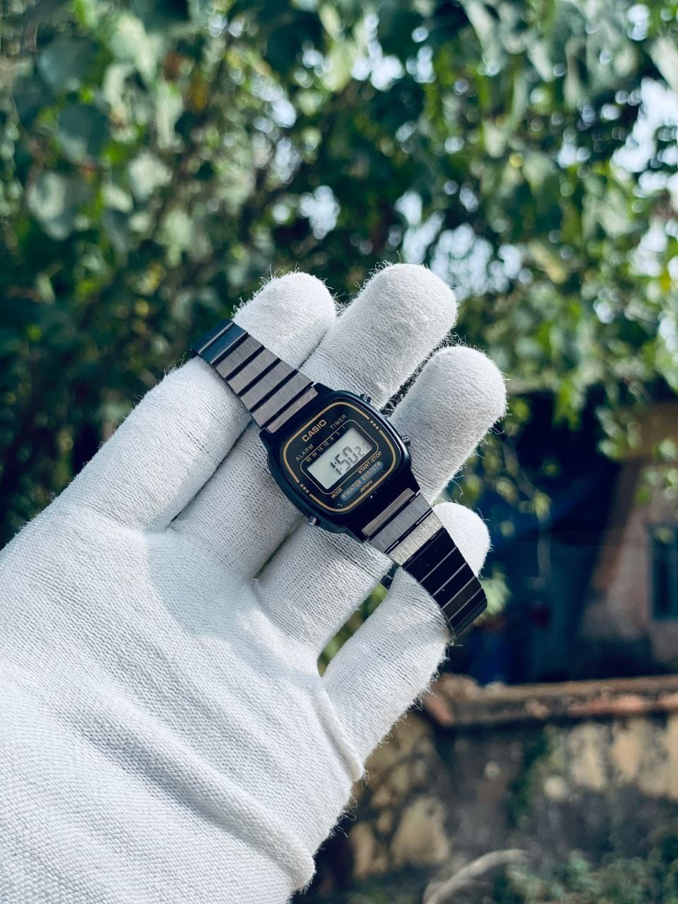 CASIO - LADIES